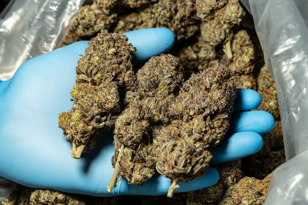 物业清洁工具选型：拖把与簸箕组合的效能对比分析
