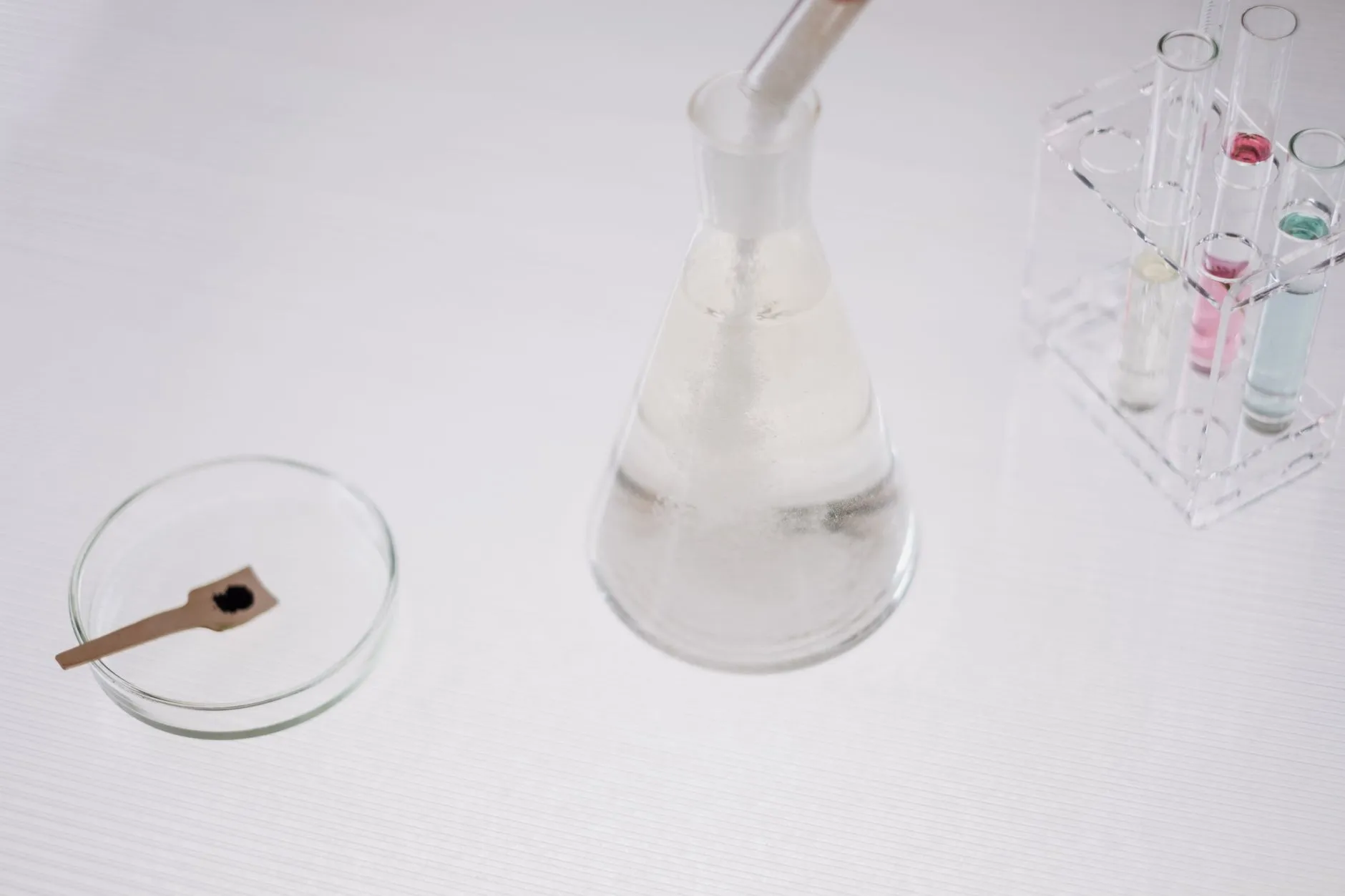 长三角地区清洁工具市场新趋势：拖把与扫把的技术升级方向